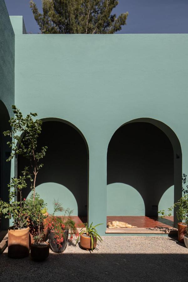 Holt Balcones Guesthouse - King Bed Room San Miguel de Allende Zewnętrze zdjęcie